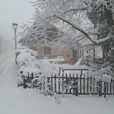 Frieda Altenberg (Erzgebirge)